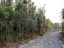 ����չʾ�DƬ