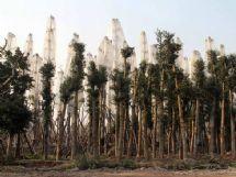 ����չʾ�DƬ