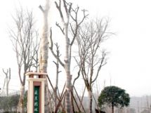 ����չʾ�DƬ