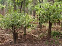 �ς�����^