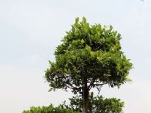 �Ř�(sh��)���^