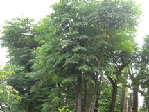 ����չʾ�DƬ