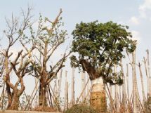 ����չʾ�DƬ