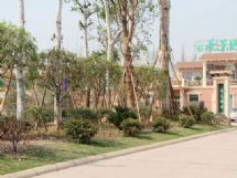 ����չʾ�DƬ