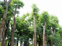 ����չʾ�DƬ