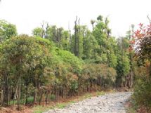 ����չʾ�DƬ