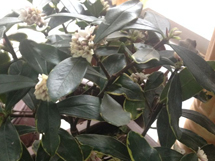 ��߅����