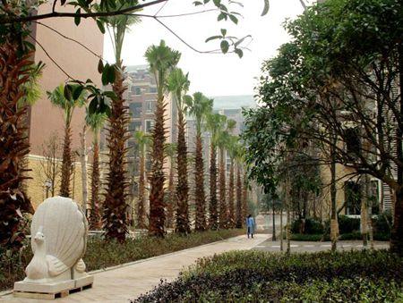 ������סլС�^(q��)����