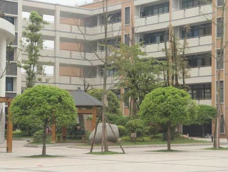 ��ؕ����С�W(xu��)��