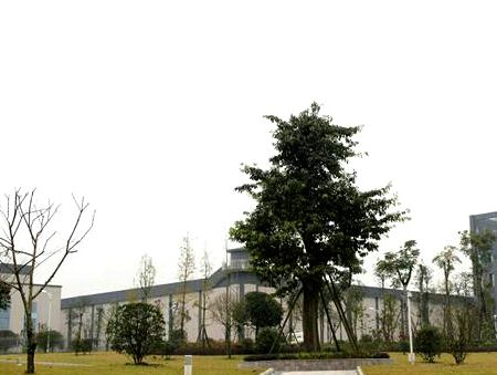 �O(ji��n)������