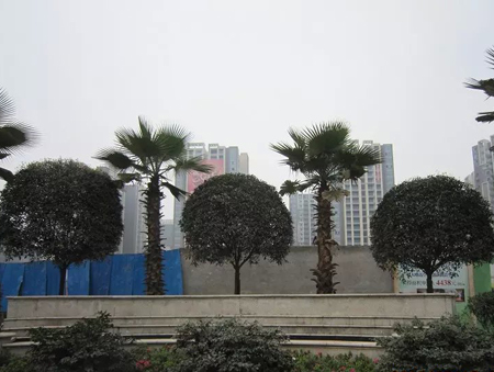 ���e�h(yu��n)�_(d��).������