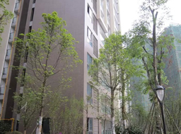 ���e���h(yu��n)�_(d��)������һ�ھG������