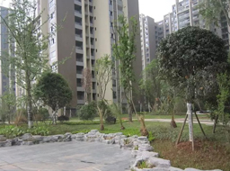 ���e���h(yu��n)�_(d��)������һ�ھG������