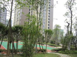 ���e���h�_������һ�ھG������