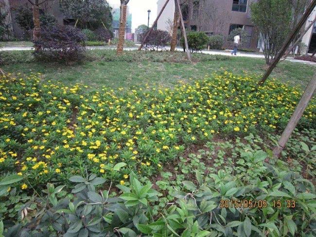 ���e���h�_������һ�ھG������