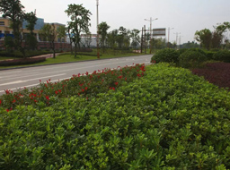 ���h(hu��n)·����Ƥ������|����H.���ϼҾ߳ǶξG��