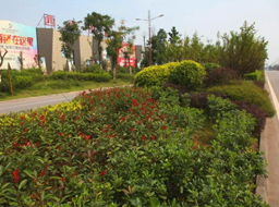 ���h(hu��n)·����Ƥ������|����H.���ϼҾ߳ǶξG��