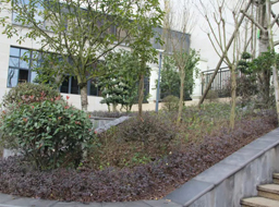 �ǺӇ��H�G�������^