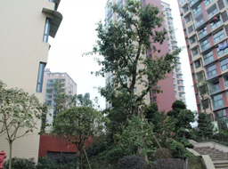 �ǺӇ�(gu��)�H�G�������^