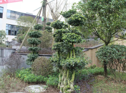 �ǺӇ�(gu��)�H�G�������^