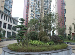 �ǺӇ�(gu��)�H�G�������^