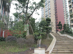 �ǺӇ�(gu��)�H�G�������^