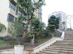 �ǺӇ�(gu��)�H�G�������^