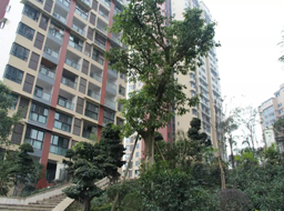 �ǺӇ�(gu��)�H�G�������^