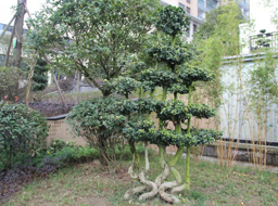 �ǺӇ�(gu��)�H�G�������^