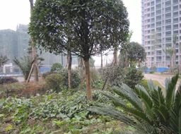 �h(yu��n)�_(d��).����Ҽ̖(h��o)�G�����^�����⹤��