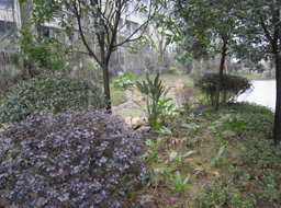 �h�_.����Ҽ̖�G�����^�����⹤��