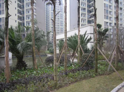 �h�_.����Ҽ̖�G�����^�����⹤��