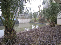 �h�_.����Ҽ̖�G�����^�����⹤��