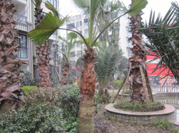 �h�_.����Ҽ̖�G�����^�����⹤��