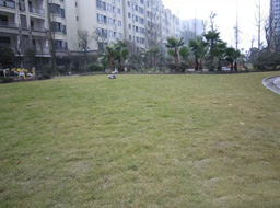 �h(yu��n)�_(d��).����Ҽ̖�G�����^�����⹤��