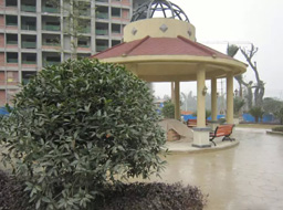 �h(yu��n)�_(d��).����Ҽ̖�G�����^�����⹤��