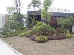 �VԪ�Є��w�h�㽭��(gu��)�H