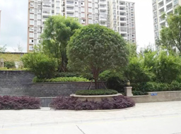 �VԪ�Є��w�h�㽭��(gu��)�H