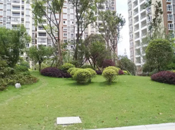 �VԪ�Є��w�h�㽭��(gu��)�H