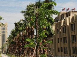 ��֦���h�_���۾��Aͥ