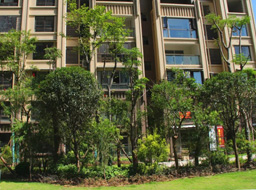 ��֦���h�_���۾��Aͥ