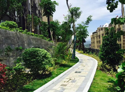 ��֦���h�_���۾��Aͥ