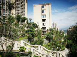 ��֦���h�_���۾��Aͥ