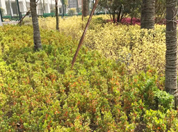 ��혿h���w����