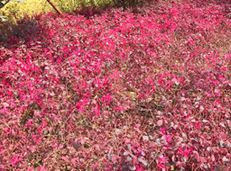 ��혿h���w����