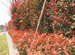 ��혿h���w����