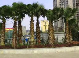 ��혿h���w����