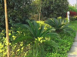 ��혿h���w����