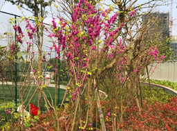 ��혿h���w����