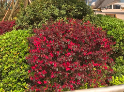 ��혿h���w����